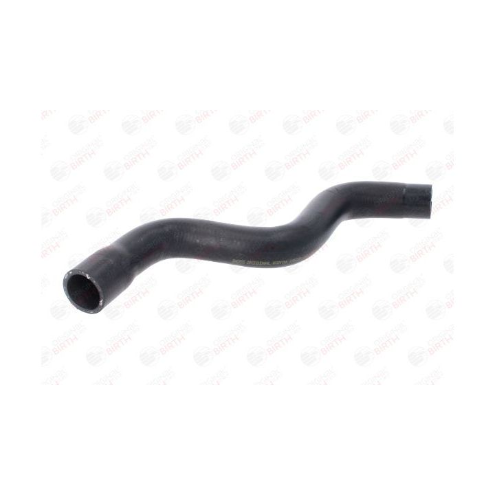 Radiatoriaus žarna BIRTH 54555