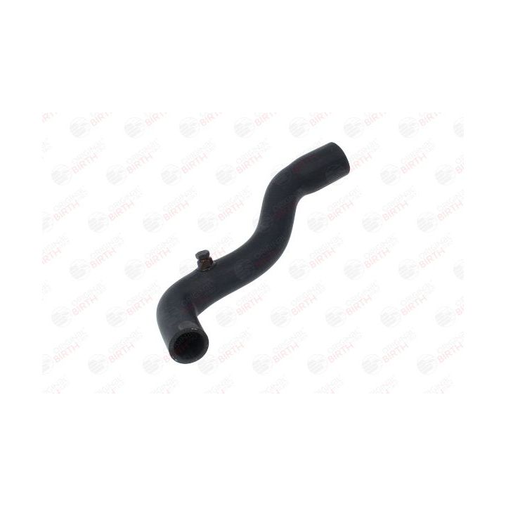 Radiatoriaus žarna BIRTH 54584