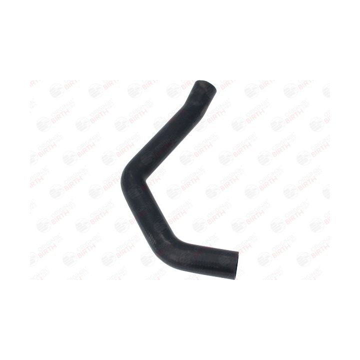 Radiatoriaus žarna BIRTH 54585