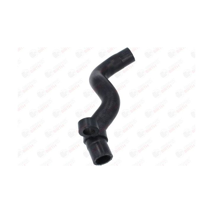 Radiatoriaus žarna BIRTH 54661