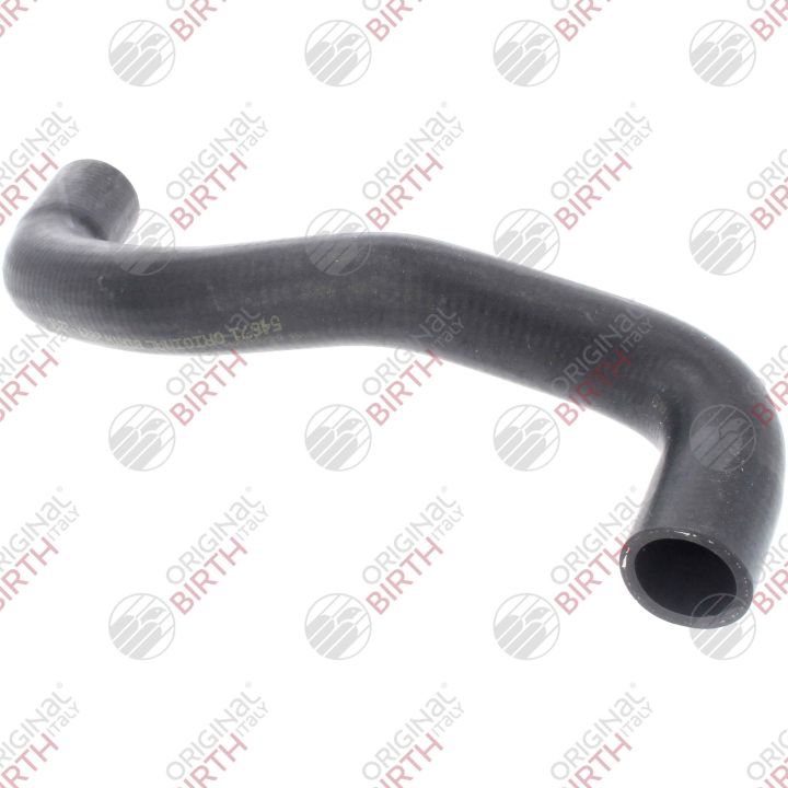 Radiatoriaus žarna BIRTH 54671