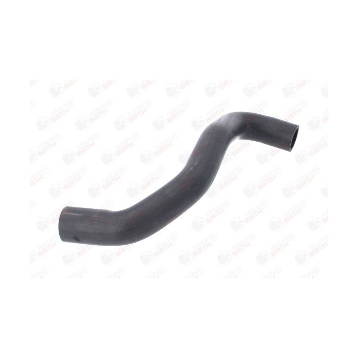 Radiatoriaus žarna BIRTH 54671