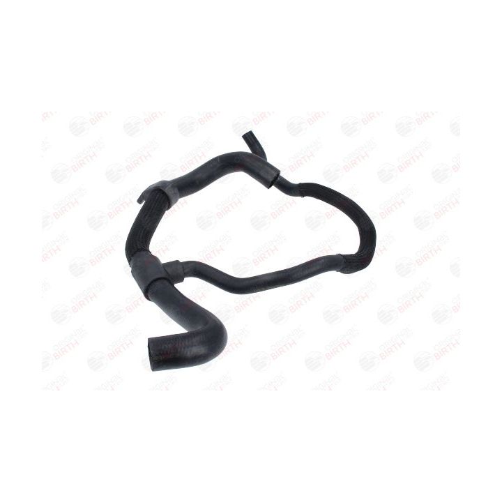 Radiatoriaus žarna BIRTH 54676