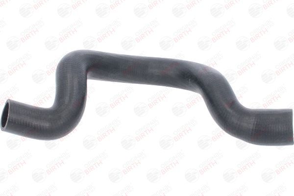 Radiatoriaus žarna BIRTH 54679