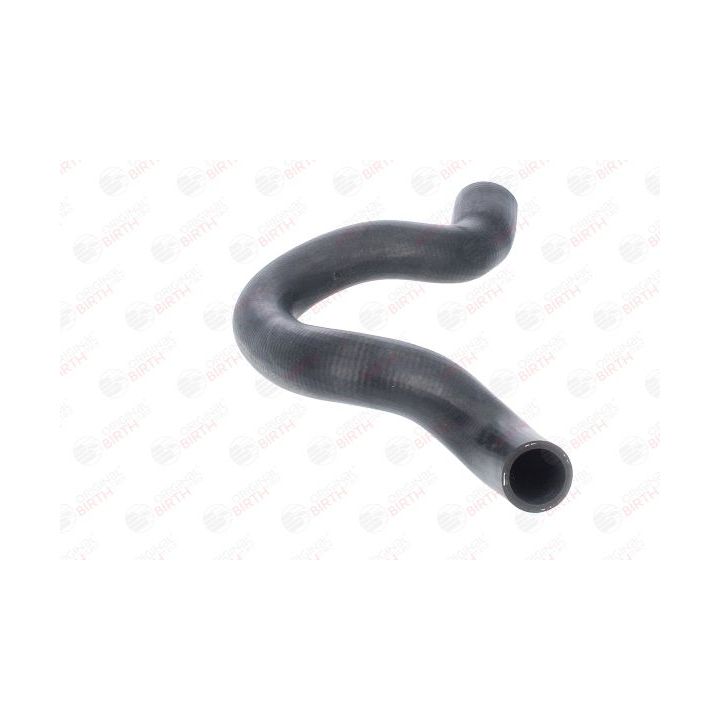 Radiatoriaus žarna BIRTH 54679