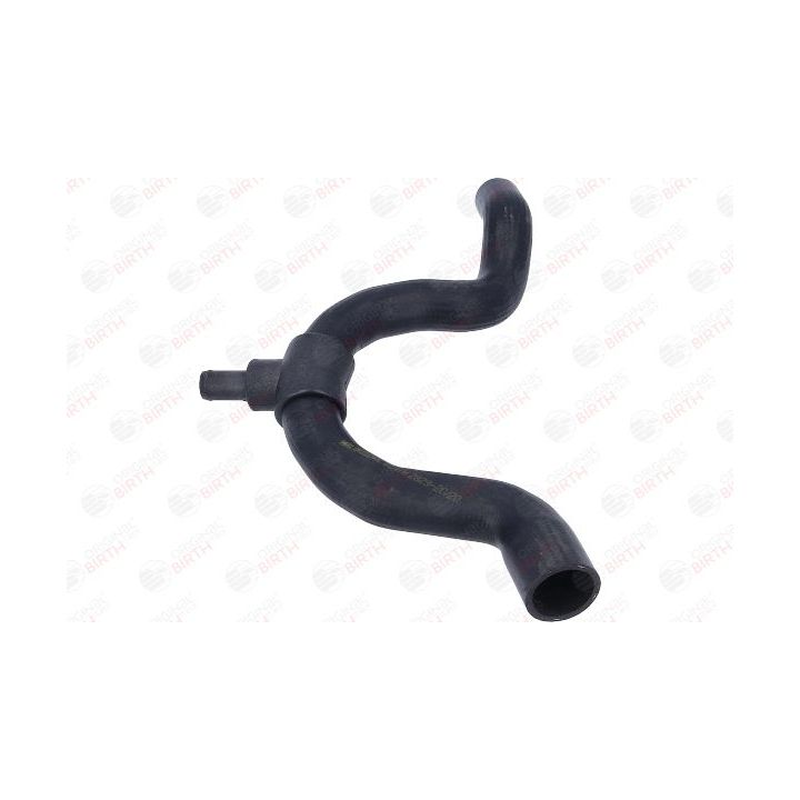 Radiatoriaus žarna BIRTH 54681