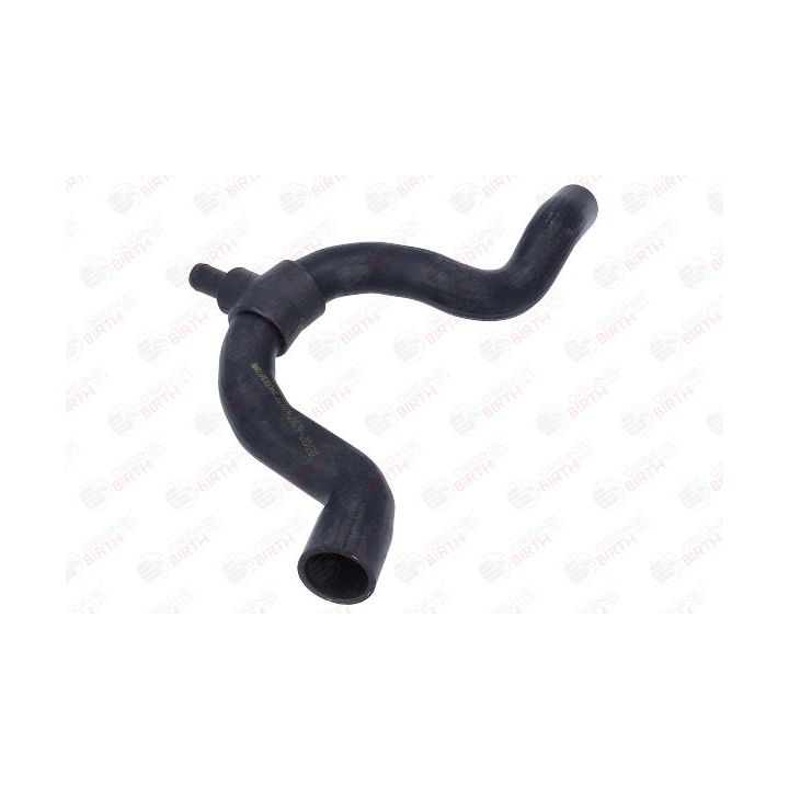 Radiatoriaus žarna BIRTH 54681