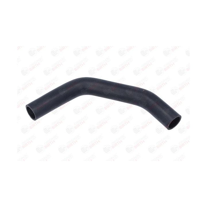 Radiatoriaus žarna BIRTH 54683