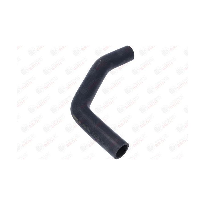 Radiatoriaus žarna BIRTH 54683