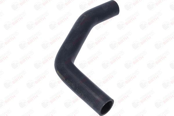 Radiatoriaus žarna BIRTH 54683