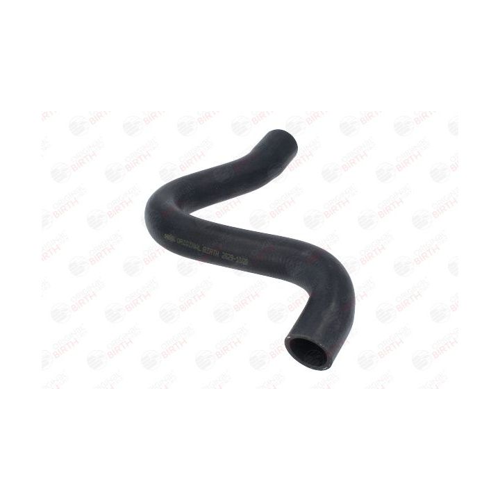 Radiatoriaus žarna BIRTH 54686