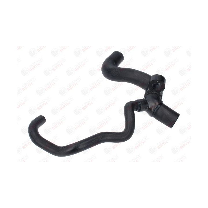 Radiatoriaus žarna BIRTH 54688