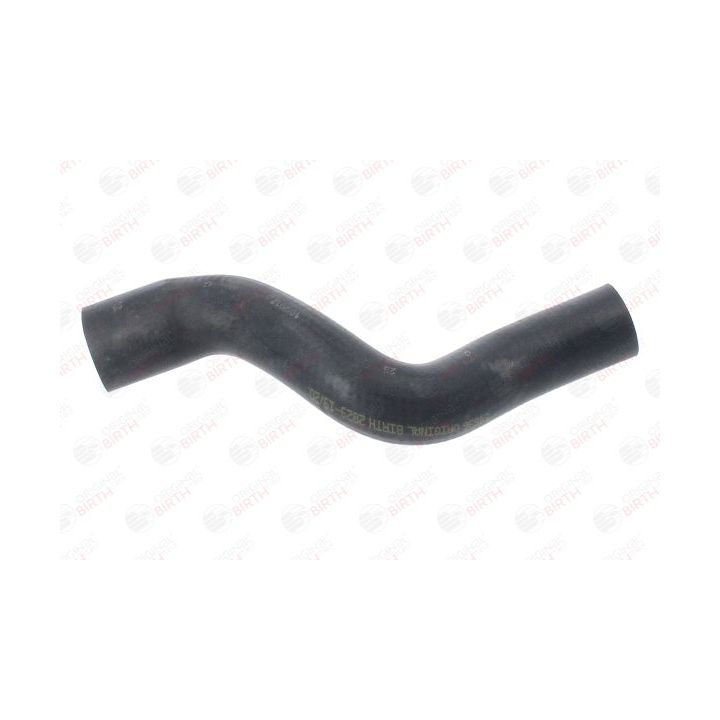 Radiatoriaus žarna BIRTH 54696