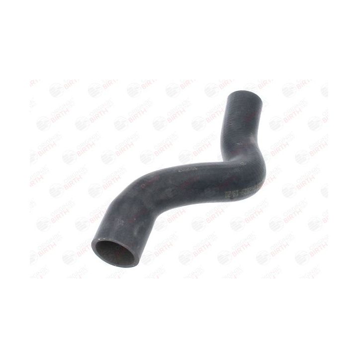 Radiatoriaus žarna BIRTH 54696