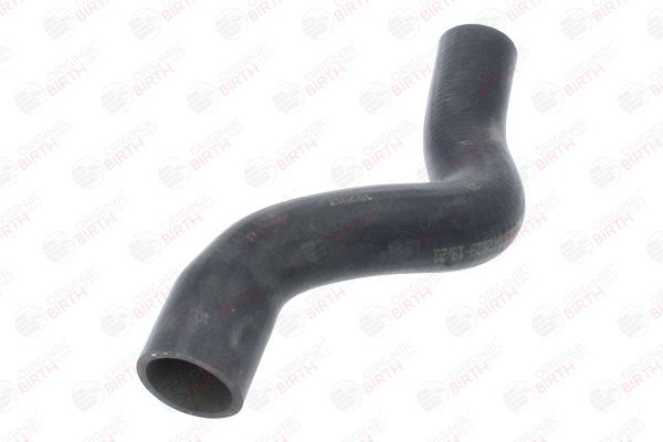 Radiatoriaus žarna BIRTH 54696