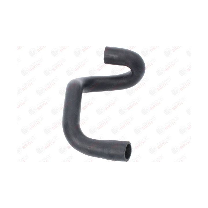 Radiatoriaus žarna BIRTH 54697