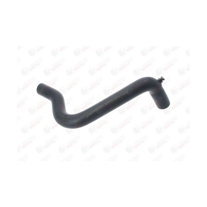 Radiatoriaus žarna BIRTH 54704