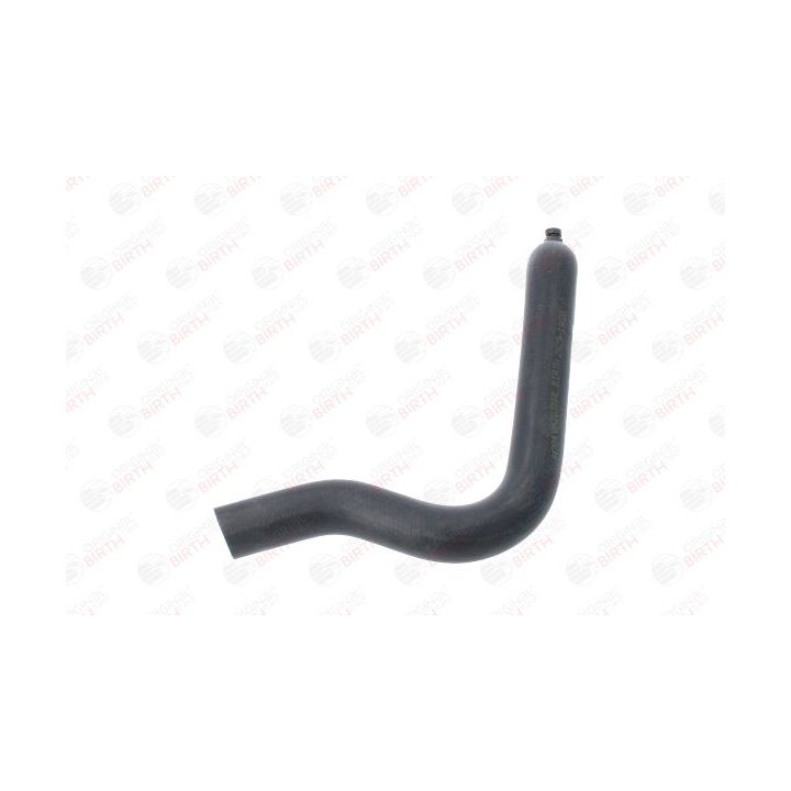 Radiatoriaus žarna BIRTH 54704