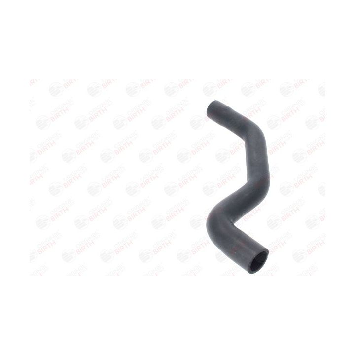 Radiatoriaus žarna BIRTH 54710