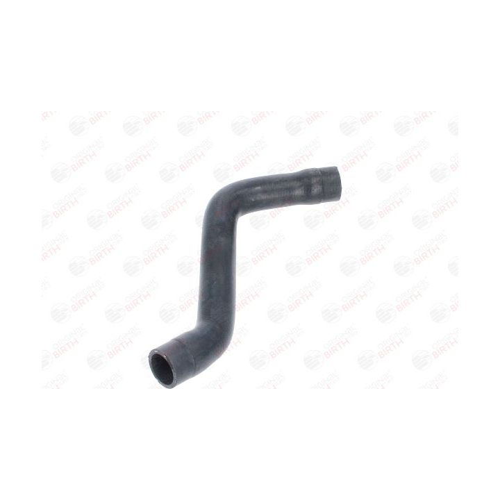 Radiatoriaus žarna BIRTH 54734