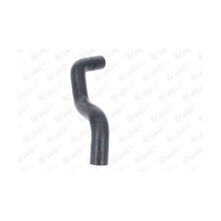 Radiatoriaus žarna BIRTH 54735