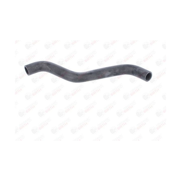 Radiatoriaus žarna BIRTH 54744