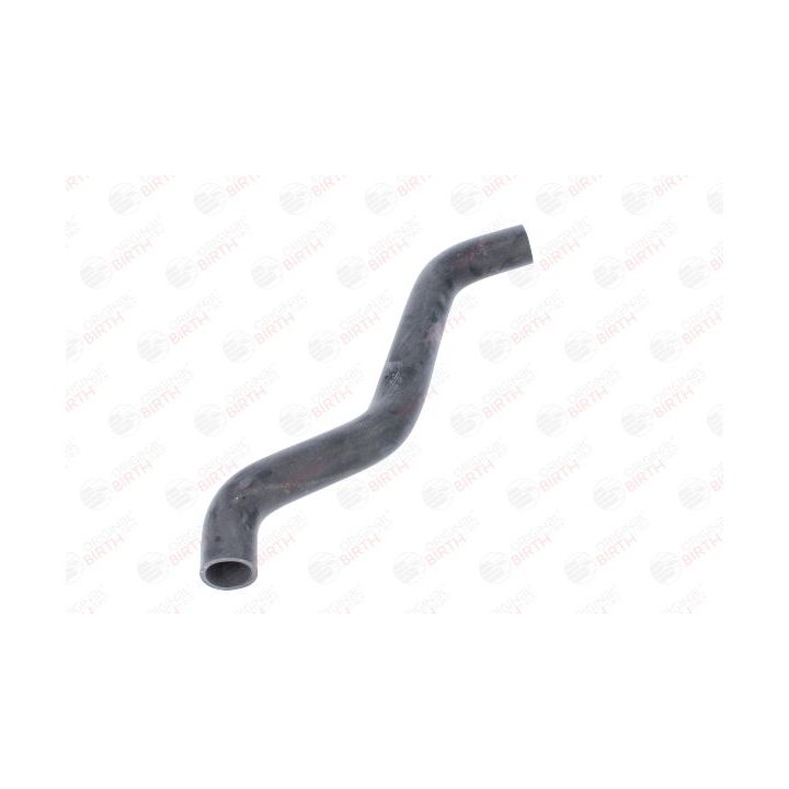 Radiatoriaus žarna BIRTH 54744