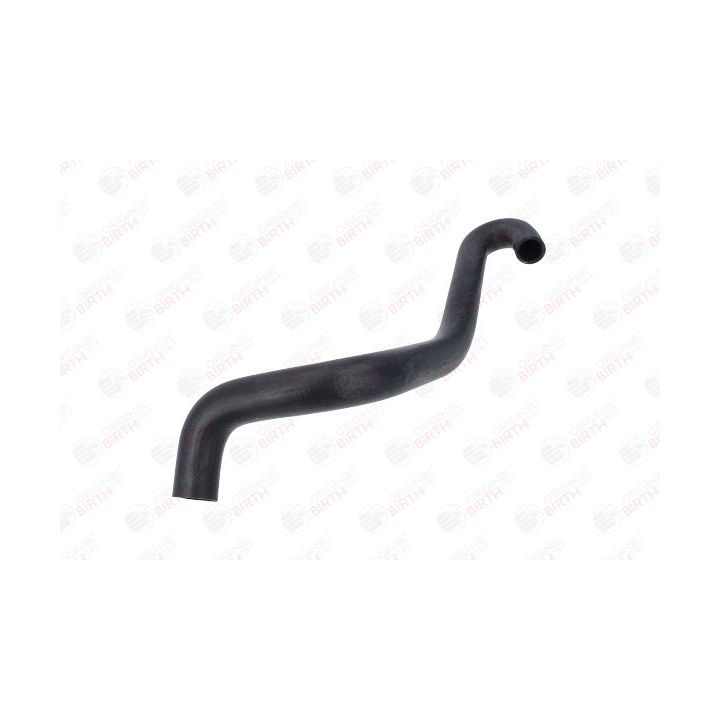 Radiatoriaus žarna BIRTH 54798