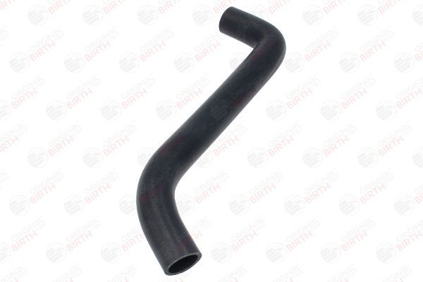 Radiatoriaus žarna BIRTH 54805