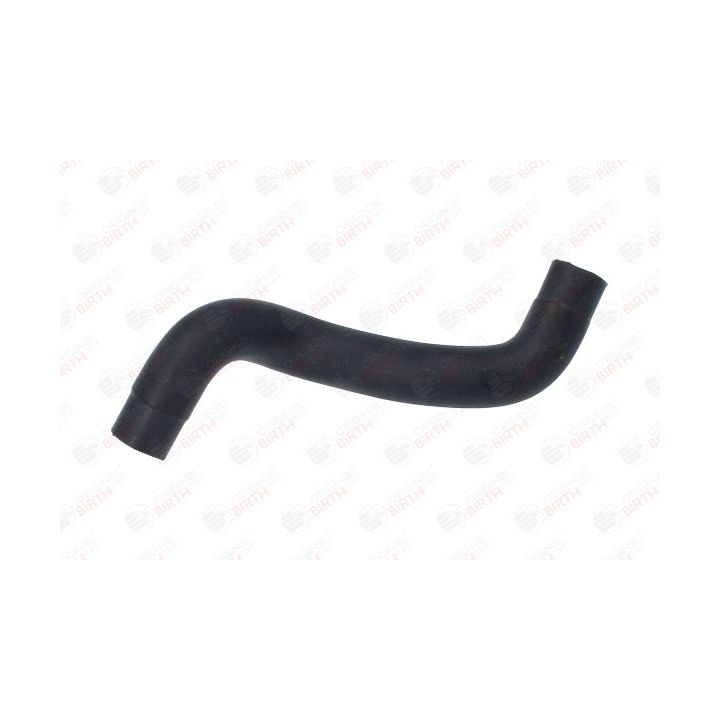 Radiatoriaus žarna BIRTH 55032