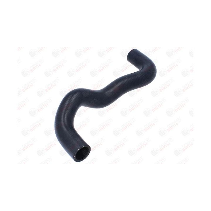 Radiatoriaus žarna BIRTH 55035