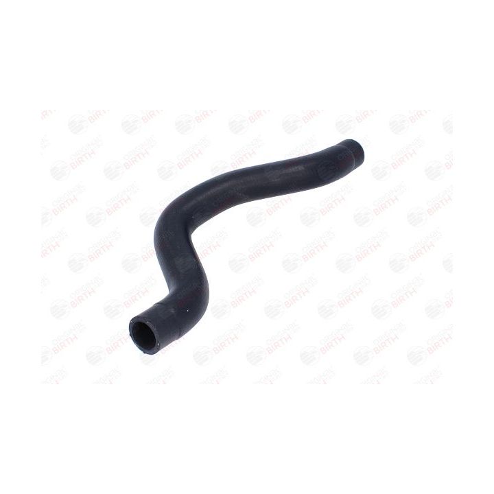 Radiatoriaus žarna BIRTH 55036