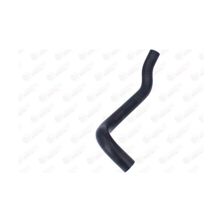 Radiatoriaus žarna BIRTH 55100