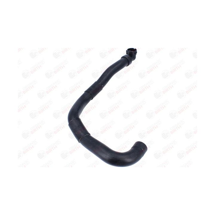 Radiatoriaus žarna BIRTH 55124