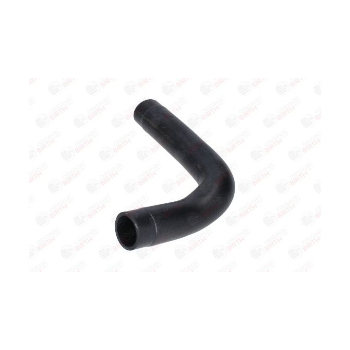 Radiatoriaus žarna BIRTH 55283