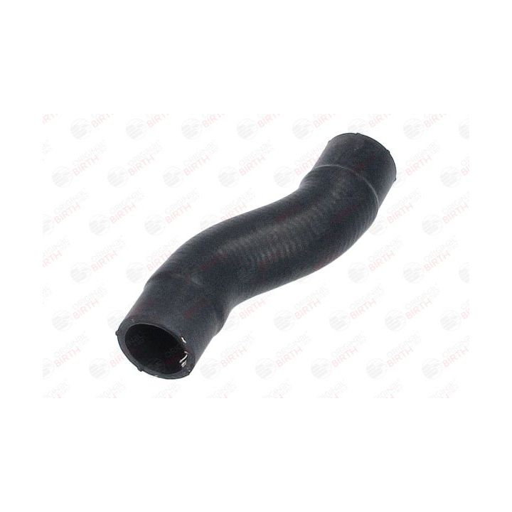 Radiatoriaus žarna BIRTH 55292