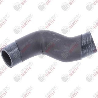 Radiatoriaus žarna BIRTH 55382