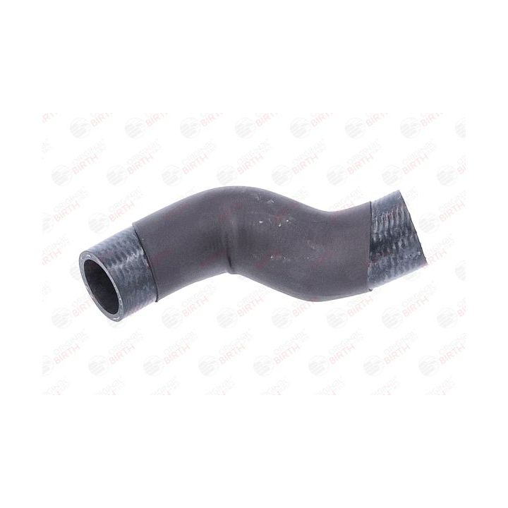 Radiatoriaus žarna BIRTH 55382