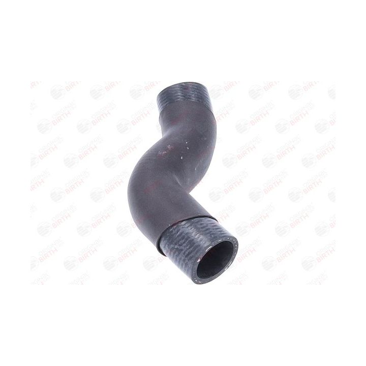 Radiatoriaus žarna BIRTH 55382