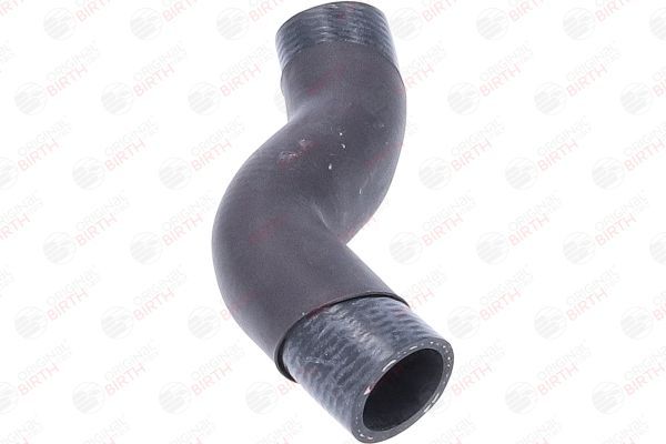 Radiatoriaus žarna BIRTH 55382