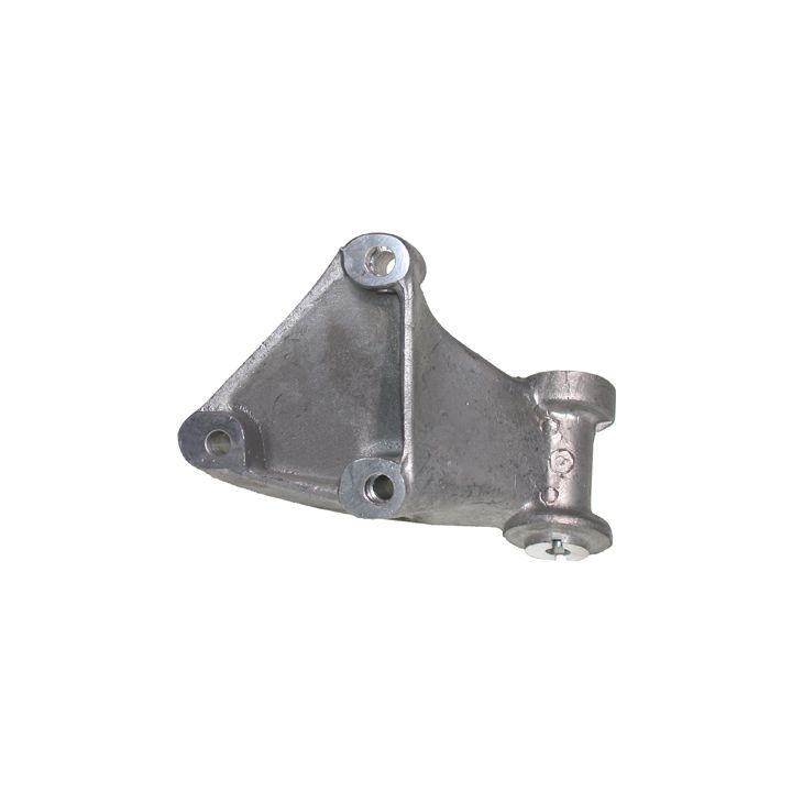 Rėmas, variklio tvirtinimas BIRTH 50077