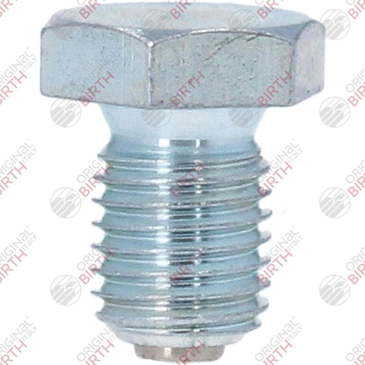 Alyvos išleidimo kaištis, alyvos karteris BIRTH 40592