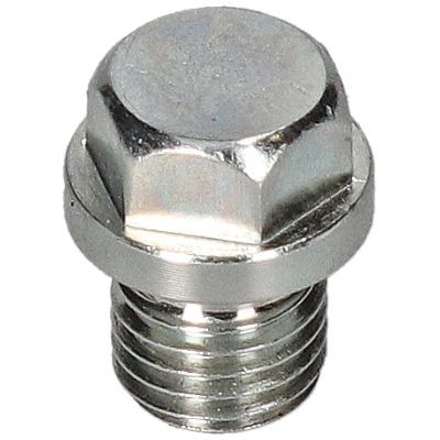 Alyvos išleidimo kaištis, alyvos karteris BIRTH 40598