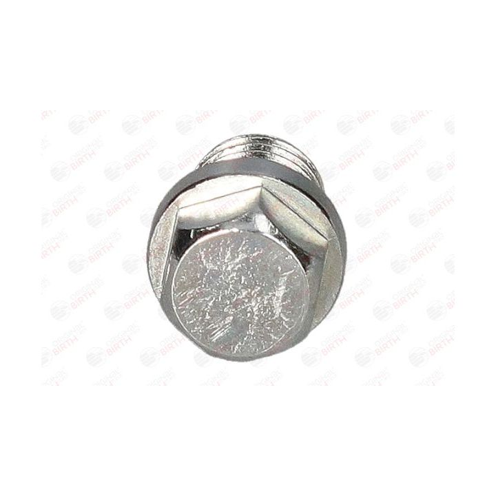 Alyvos išleidimo kaištis, alyvos karteris BIRTH 40598