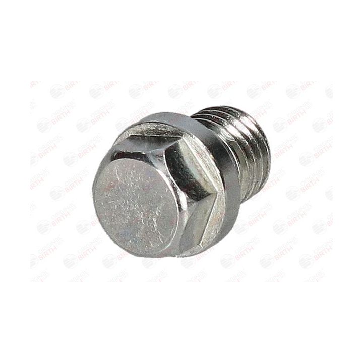 Alyvos išleidimo kaištis, alyvos karteris BIRTH 40598