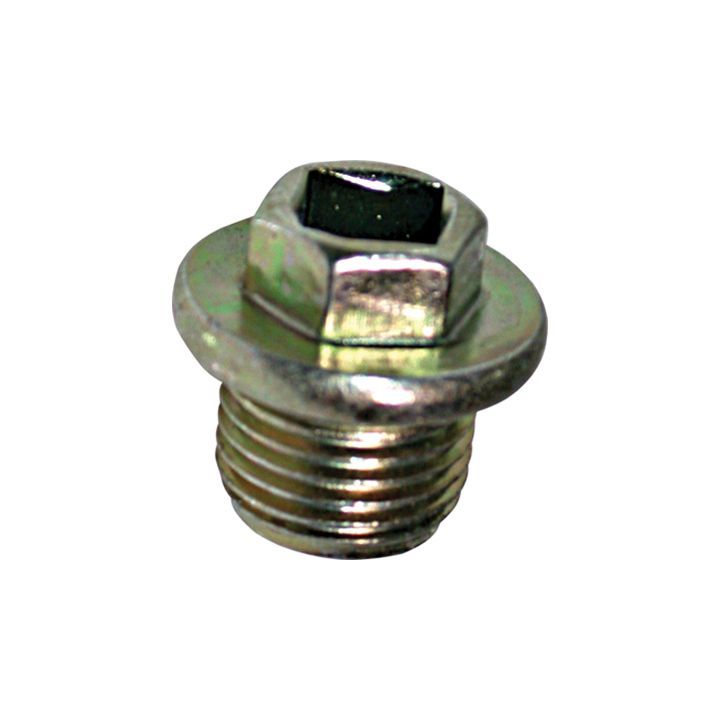 Alyvos išleidimo kaištis, alyvos karteris BIRTH 4363