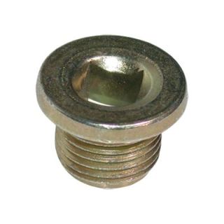 Alyvos išleidimo kaištis, alyvos karteris BIRTH 4961