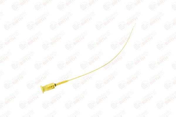 Alyvos lygio matuoklis BIRTH 80890