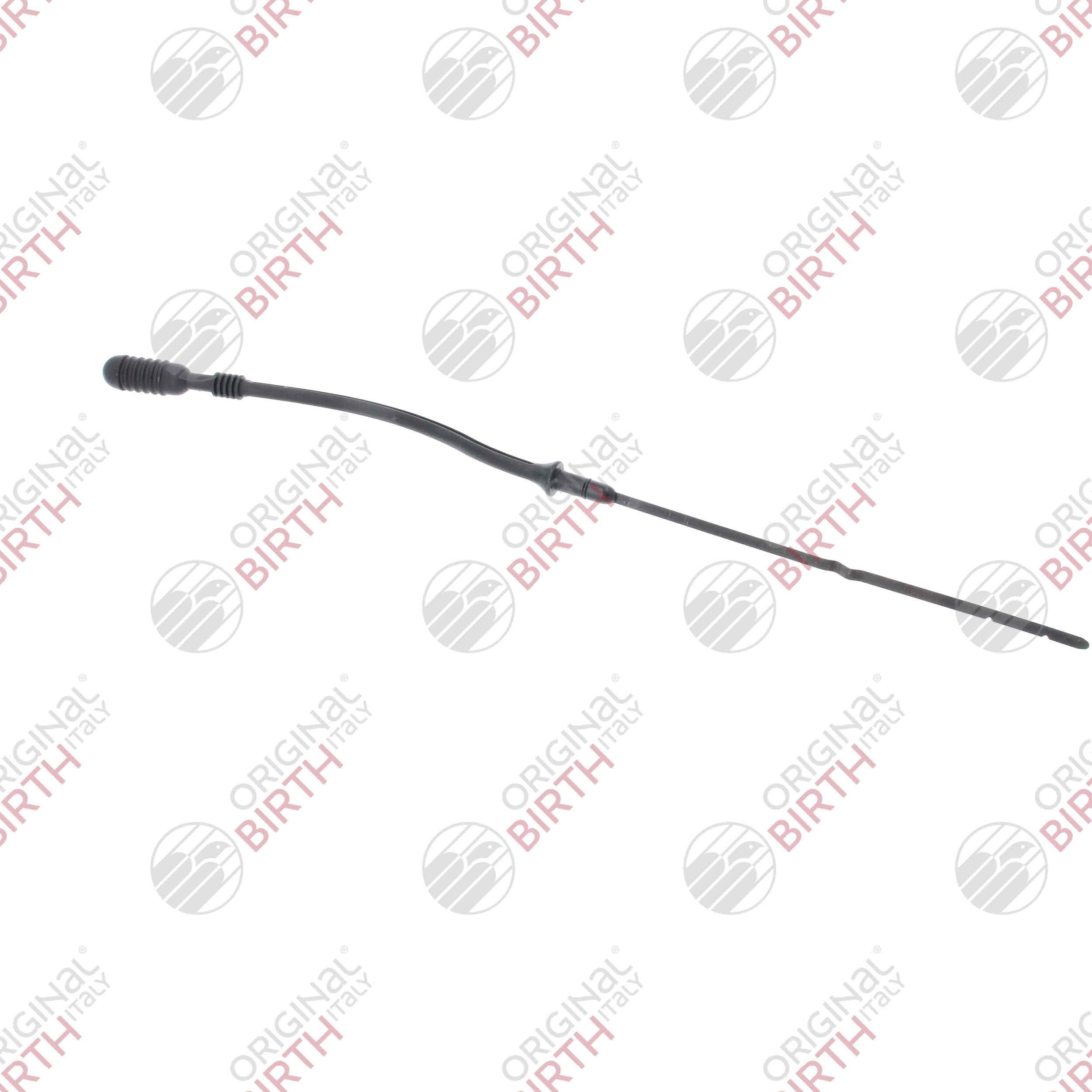 Alyvos lygio matuoklis BIRTH 8950