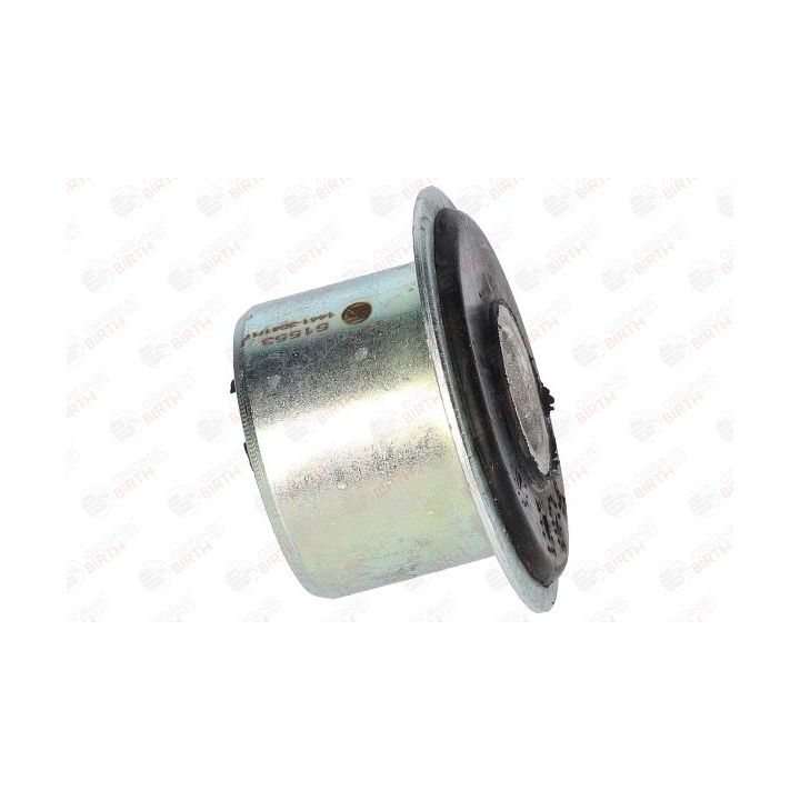 įvorė, lakštinė lingė BIRTH 51553